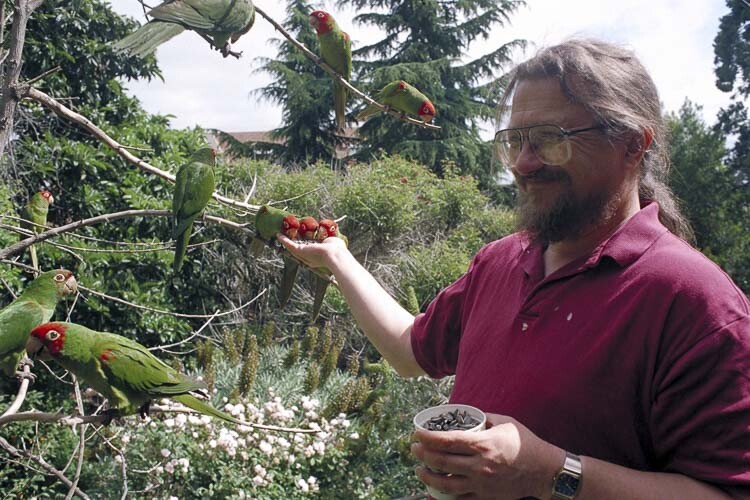 Mark Bittner, a 1969 graduate of Columbia River High School, is the focus, along with parrots, of a 2003 documentary film: The Wild Parrots of Telegraph Hill. The film has been remastered and will be playing at Kiggins Theatre for a five-day run beginning Friday. Bittner grew up going to movies at Kiggins. Photo courtesy Shadow Distribution
