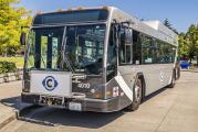 C-TRAN appoints Alexandra Mather as director of Government and Community Relations