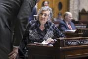 Sen. Lynda Wilson says Senate vote amounts to death sentence for Washington’s firearm dealers