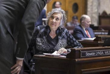 Sen. Lynda Wilson says Senate vote amounts to death sentence for Washington’s firearm dealers