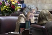 Sen. Lynda Wilson says passage of voter initiatives is ‘huge win for the people’