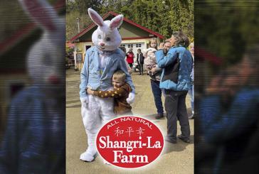 Sun will shine on Shangri-La Farm’s country-style Easter egg hunt Saturday
