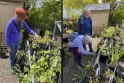 Camas-Washougal Historical Society annual Plant Fair returns