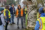 City of Vancouver seeks volunteers to serve on Urban Forestry Commission