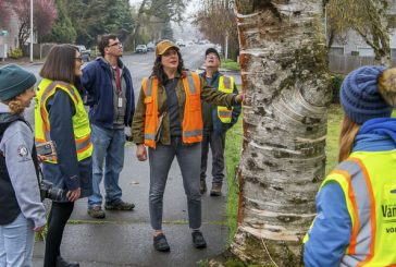 City of Vancouver seeks volunteers to serve on Urban Forestry Commission