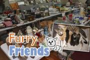 Furry Friends cat rescue to host garage sale