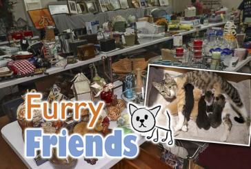 Furry Friends cat rescue to host garage sale