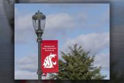 WSU Vancouver to present five top awards at 2024 Commencement
