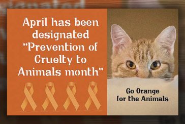 ‘Go Orange for Animals’ in April