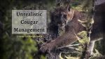 The recovery of the cougar population is one of the success stories in Washington state.