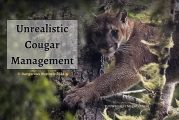 Opinion: Unrealistic cougar management