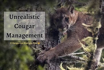 Opinion: Unrealistic cougar management