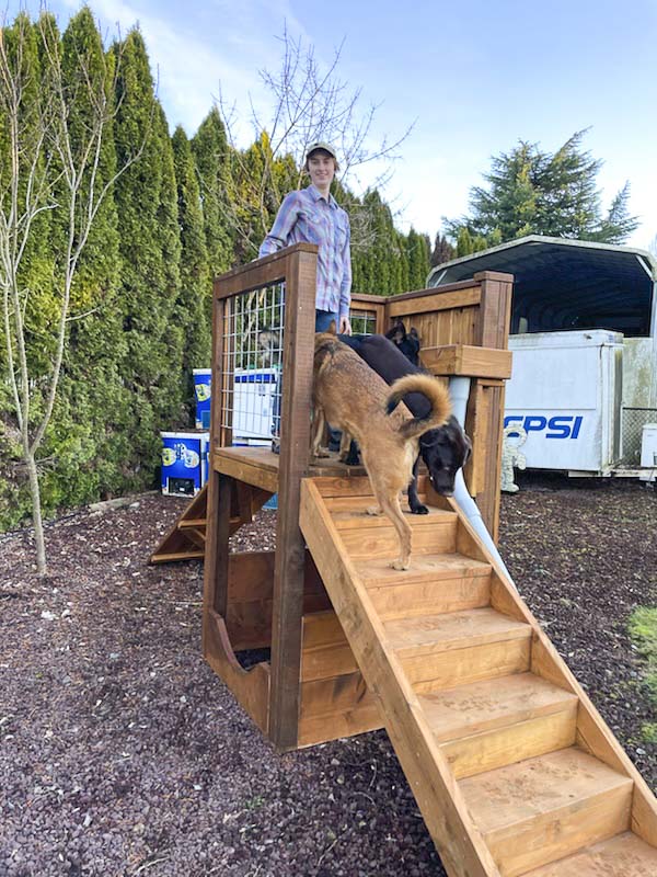 Sage Edwards designed and built a dog playground for a family friend. Edwards, a senior at Hayes Freedom High School in Camas, is an aspiring architect who loves animals. Photo courtesy Topher Edwards