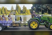 102nd Annual Planters Days Festival kicks off in Woodland with parades, frog jumping, and community spirit