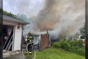 A resident and six dogs rescued from Vancouver house fire
