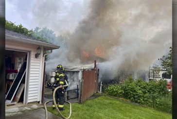 A resident and six dogs rescued from Vancouver house fire