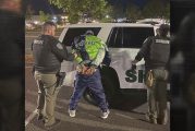 Twelve people arrested in Clark County Sheriff's Office retail theft mission