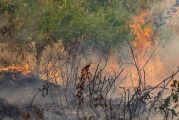 County implements warm weather burn ban beginning July 5