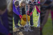 Keep your trees hydrated and healthy this summer