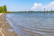 Warning advisory issued for Vancouver Lake