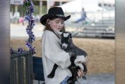 Here’s what’s happening at the Clark County Fair on Sunday, Aug. 4