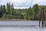 Second algae treatment scheduled for Vancouver Lake swim beach on Aug. 2