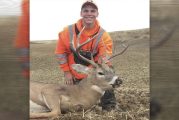 Surplus multi-season deer and elk tags available Aug. 21