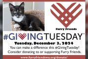 Join in on #GivingTuesday to build a brighter future for Furry Friends