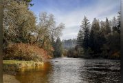 2025 parking passes for county regional parks now available for purchase