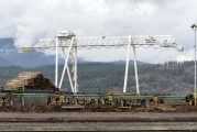 Rep. Kevin Waters introduces three bills including legislation that would benefit Washington lumber mills