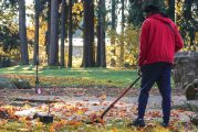 Clark County Public Works planting hundreds of trees in the Minnehaha neighborhood, volunteers invited to help