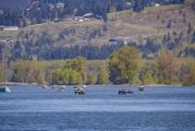2025 Columbia River Spring Chinook seasons announced