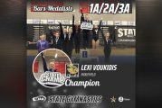 High school state competitions: Ridgefield gymnast wins state title