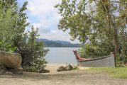 Clark County accepting applications for volunteer park host at Captain William Clark Regional Park at Cottonwood Beach