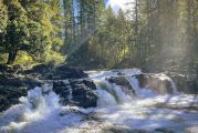 Clark County seeks volunteer residential park host for Lucia Falls Regional Park