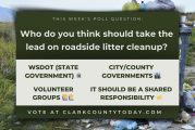 Who Should Clean Up Our Highways? Cast Your Vote
