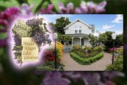 Lilac Days 2025 & Plant Sale set for April 19 through May 11