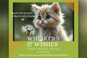 Area cat rescue to host ‘Whiskers & Wishes’ online auction