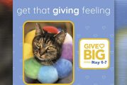 GiveBig is Coming Tuesday, May 6