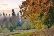 Clark County and The Cowlitz Indian Tribe host open house April 24