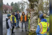 City of Vancouver seeks volunteers to serve on Urban Forestry Commission