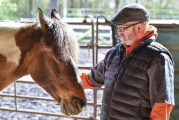 Veterans find healing and trust through horse therapy at Windhaven