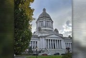 Opinion: Proposed initiative to the legislature – requiring verification of citizenship for voter registration