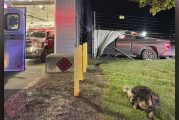 Vehicle crashes into Vancouver Fire Station 6 during emergency response