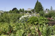 Construction begins on wetland restoration at county’s 78th Street Heritage Farm