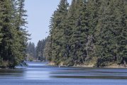 Public Health issues warning for Lacamas Lake due to elevated toxin levels