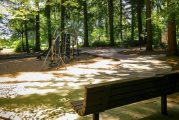 Community invited to provide input on Orchards Community Park improvements via online survey