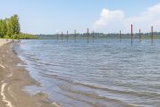 Public Health issues warning for Vancouver Lake due to elevated toxin levels