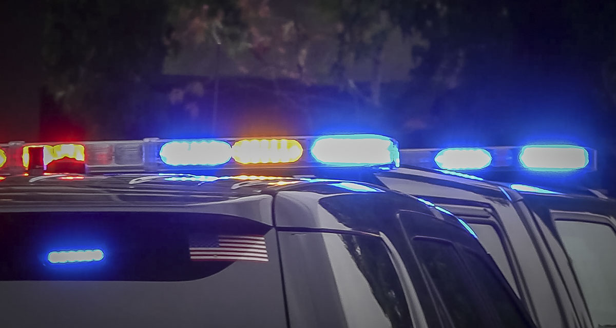 Two men were found dead from gunshot wounds near Vancouver Lake after a 9-1-1 caller said he and his friend were planning to commit suicide.