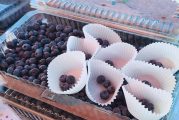 Hockinson Blueberry Festival Returns Saturday, July 19
